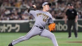 日本職棒阪神虎投手石井大智因傷退出WBC。（圖／美聯社／達志影像）