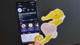 台中海洋館《海馬迎新 Horse成雙》登場！攜手朝元宮月老聯名（業配勿用）