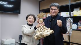 劉建國和范雲舉起大蒜，祝劉建國能在縣長選舉裡「凍蒜」。（圖／范雲國會辦公室提供） 