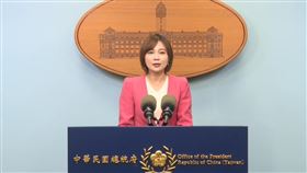 總統府發言人郭雅慧回應特赦一事。（圖／翻攝畫面）