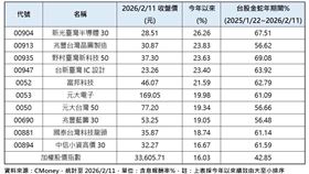 金蛇年期間績效表現前10強的台股原型ETF。（圖／CMoney）