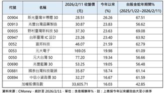 蛇年台積電漲71%成推手　績效前10強出爐