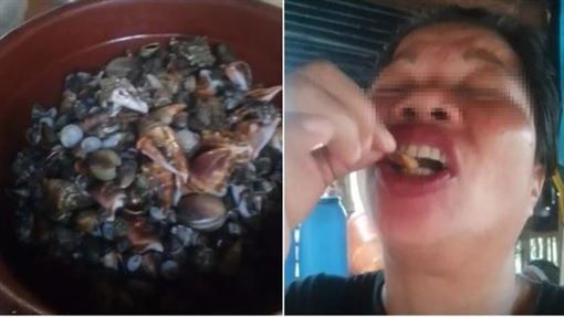 網紅狂嗑新鮮海鮮GG　抽搐送醫2天身亡