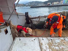 海巡人員偕同偵蒐犬執行安檢