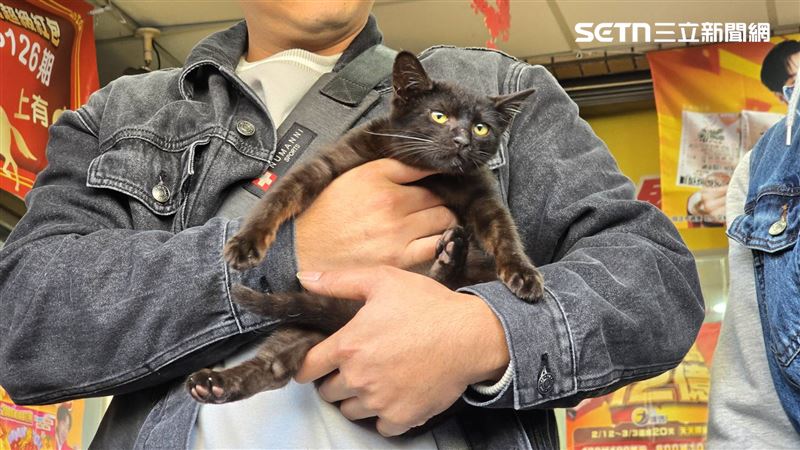 陳姓兄弟認為是小黑貓「七七」帶來幸運，讓他們刮中百萬大獎。（圖／記者吳泊萱攝影）