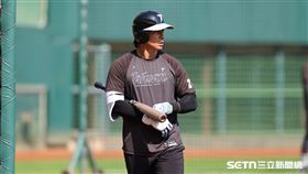 WBC台灣隊練習賽，隊長陳傑憲賽前打擊練習。（圖／記者劉彥池攝影）