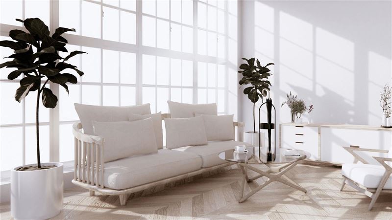 馬年風水財位布局最重視「生氣」與「穩定」，最忌諱陰暗、雜亂等狀況。（圖／21世紀不動產提供）