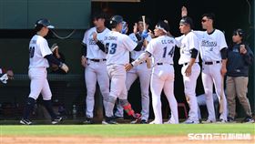 WBC台灣隊練習賽，捕手蔣少宏高飛犧牲打送回江坤宇。（圖／記者劉彥池攝影）