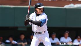 WBC台灣隊練習賽，一壘手張育成。（圖／記者劉彥池攝影）