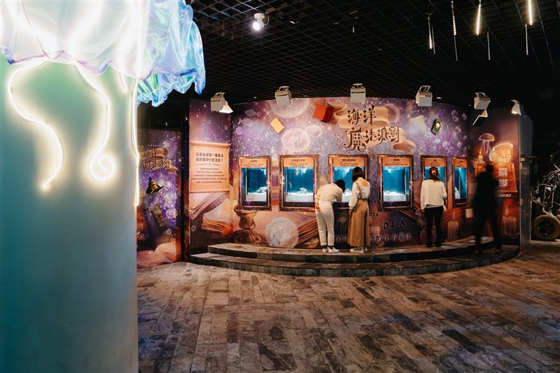 過年走春必去！屏東海生館「新春優惠大禮包」一次開箱！海洋漫遊卡、夜宿體驗、春節魔法派對、So-net 闖關好禮全整理。（圖／屏東海生館提供）