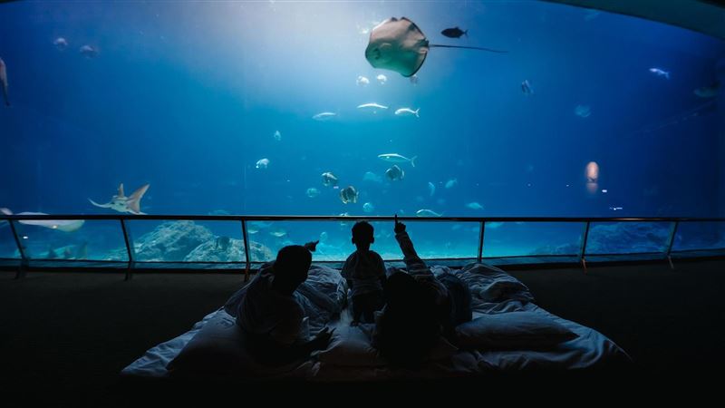 過年走春必去！屏東海生館「新春優惠大禮包」一次開箱！海洋漫遊卡、夜宿體驗、春節魔法派對、So-net 闖關好禮全整理。（圖／屏東海生館提供）
