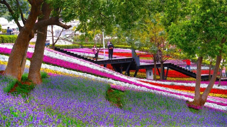 走春來臺北! 賞花泡湯、祈福看展一次看