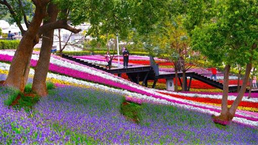 走春來臺北！ 賞花泡湯、祈福看展一次看