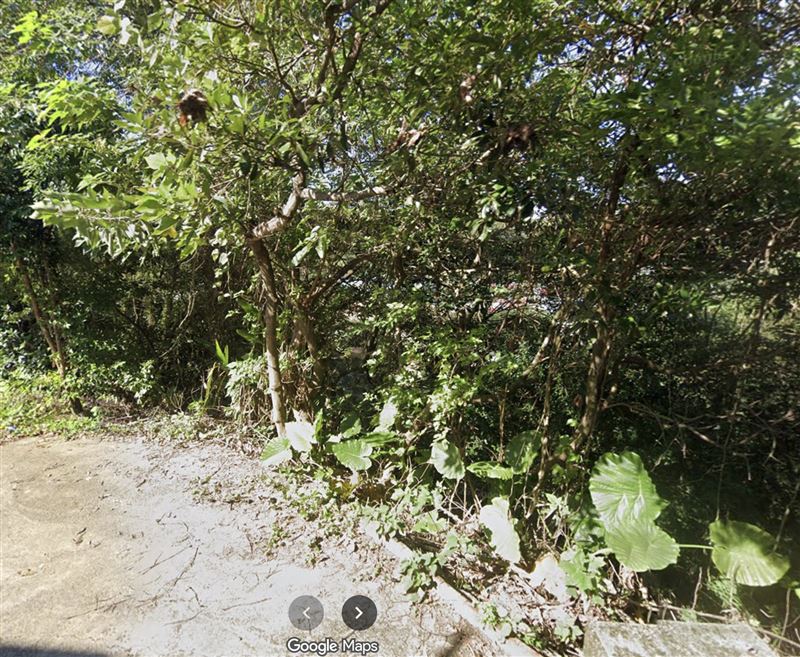 66歲陳男被發現陳屍在一處樹林間。（圖／翻攝自Google Map）