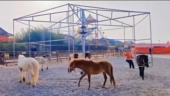 中國遊樂園驚見「用真馬」旋轉木馬。（圖／翻攝自微博）