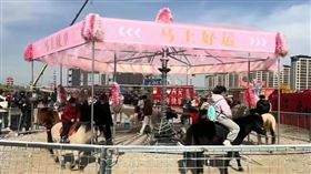 中國遊樂園驚見「用真馬」旋轉木馬。（圖／翻攝自微博）