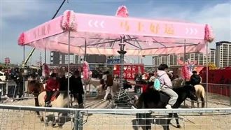 中國驚見「用真馬」旋轉木馬　網怒轟虐待