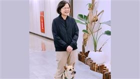 蔡英文同框鳳梨妹（圖／翻攝自蔡英文臉書）