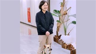情人節同框愛犬！小英：單身不一定即地獄