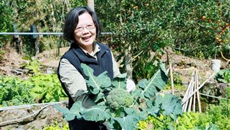 過年加菜「自己拔」　小英農地探險全紀錄