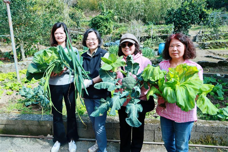 前總統蔡英文趁著過年期間走訪山上，和這陣子結交的毛小孩朋友度過幸福的點心時光，還到鄰居家的農地拔菜。（圖／蔡英文辦公室提供）