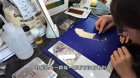 YTR孫女體驗米穀鑑定師工作。（圖／翻攝自YouTube）