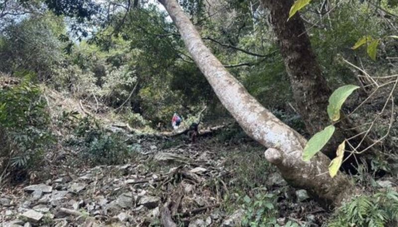 葉姓男子獨自前往登山失聯後罹難。（圖／翻攝畫面）