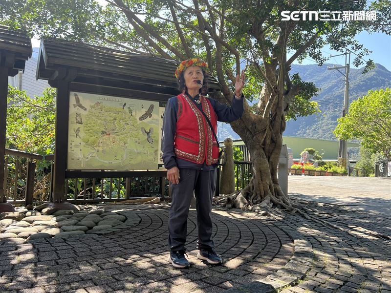 茂林區「紫蝶幽谷」每到冬季，會出現萬隻紫斑蝶群聚越冬景象。（圖／記者林昱孜攝影）