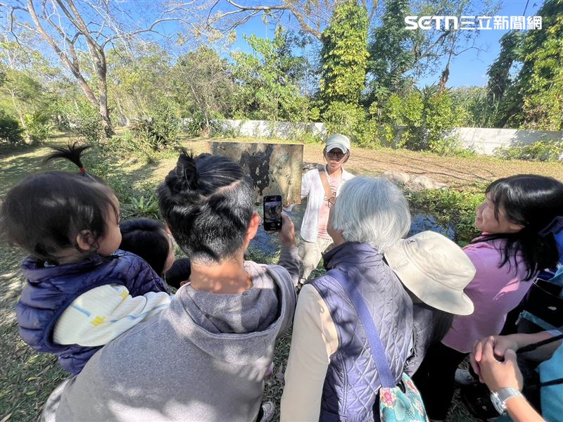 創辦人吳憶萍以原始方式復甦生態，讓這裡成為鳥類與青蛙的樂園。（圖／記者林昱孜攝影）