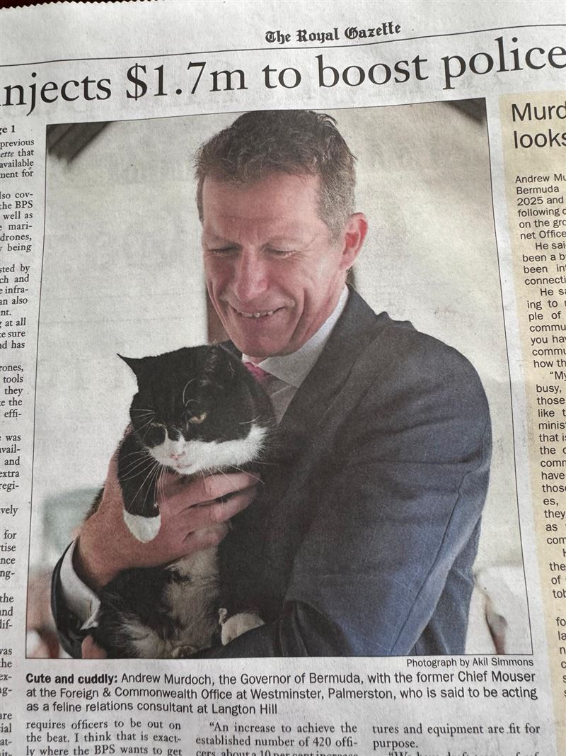 「捕鼠大臣」帕默斯頓人氣超旺，多次登上媒體版面。（圖／翻攝自X平台 @DiploMog）