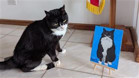 英國首任「捕鼠大臣」帕默斯頓過世，享年12歲（換算人類年齡60餘歲）。（圖／翻攝自X平台 @DiploMog）