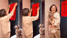 蔡英文貼上「福氣加碼」春聯，愛貓蔡想想全程緊盯（圖／翻攝自蔡英文臉書）