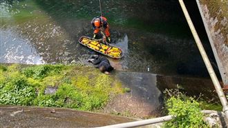 40歲男遭警攔查拒檢　翻身墜橋摔落圳溝