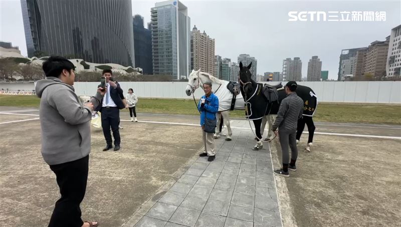 新竹高鐵站前，除夕夜出現黑白馬。（圖／記者羅欣怡攝影）