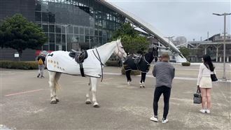 馬,高鐵,馬上,除夕（圖／記者羅欣怡攝影）