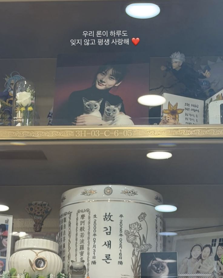 李英幼悼念金賽綸。（圖／翻攝自韓網）