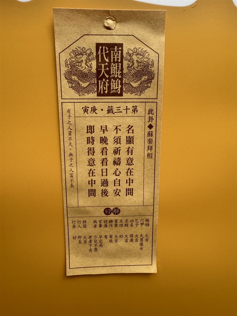 南鯤鯓,代天府,國運籤,抽籤,馬年（圖／翻攝畫面）