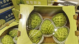 他揪中國網軍：連我們講什麼水果都不知道