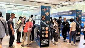 屏東,孔雀魚,觀賞魚,比賽,產業,W.G.C,屏東農業物產館（圖／翻攝畫面）