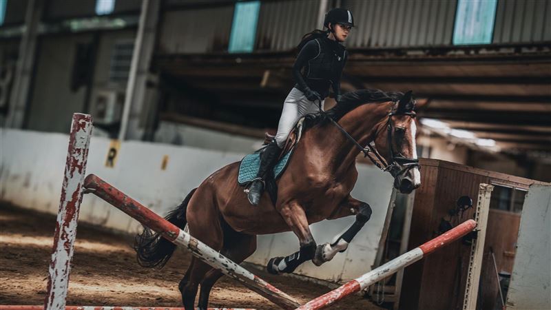 徐千京圓夢重返馬術場 跳過110公分障礙