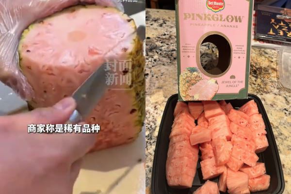 陸媒報導後，引起對岸網友瘋狂搶購，買家驚：吃起來像糖果。（圖／翻攝自微博）