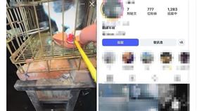 新竹縣某國中棒球校隊一名葛姓學生，日前竟將沖天炮放進關有小貓的籠子內點燃，導致小貓當場被炸傷。（圖／翻攝自Threads）