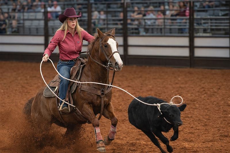 美女牛仔們的技術與神技不輸牛仔男孩們，繩圈套牛的速度都在幾秒之間。（圖／記者蕭翰弦攝影）