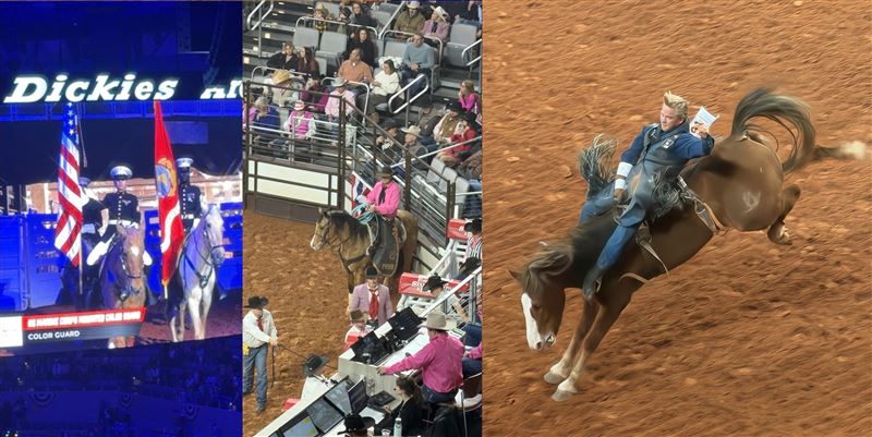 牛仔競技表演秀有許多盛大的場面與驚險場景，一旁更以科技輔助判別牛仔們分數。（組合圖／記者蕭翰弦攝影）