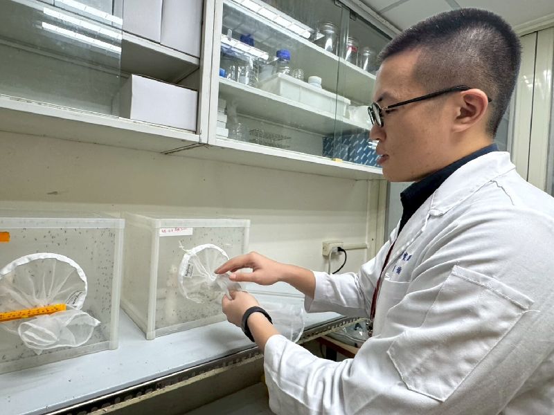 為提供防疫科學依據，衛福部疾管署「病媒實驗室」飼養病媒蚊，研發替代役蔡奕戎說明，為了防止蚊子逃脫，在飼養箱外裝有層層防護