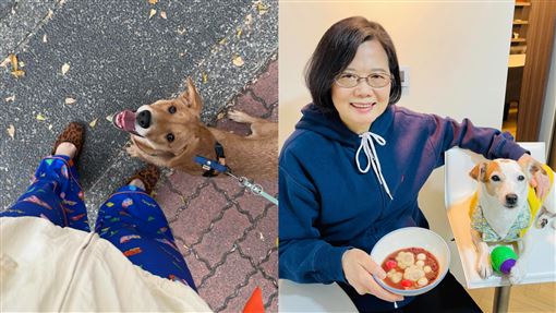 網紅嘆養狗沒上進心怎辦？竟釣出小英神回