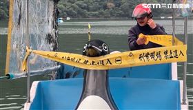 花蓮,男童,意外,天鵝船,湧浪,重心,溺斃,鯉魚潭