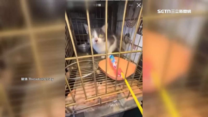 一名國中生將沖天炮放進貓籠中點燃。（圖／翻攝自Threads @I27s1y）