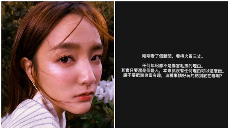 王淨罕動怒開罵，批評傷害毛小孩的人「無良當有趣」。（圖／翻攝自王淨IG）