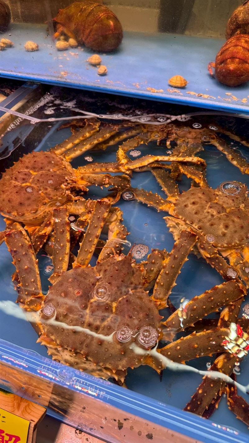 楊繡惠赴沖繩。（圖／翻攝自楊繡惠臉書）